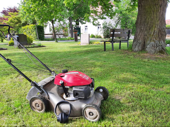 Mulch-Mäher und bluetooth Kopfhörer auf frisch gemähtem Rasen. Dahinter ein Baum mit einer Bank davor und vereinzelte Gräber.