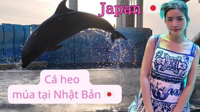 Bí ẩn | Dạo biển Enoshima và xem cá heo nhảy múa Nhật Bản 🇯🇵