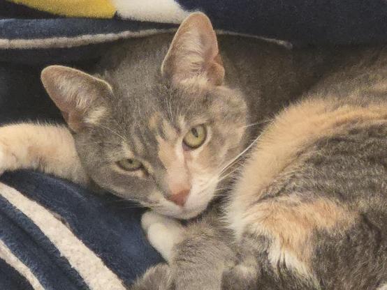 A close up showing her rage at being admired incorrectly.
