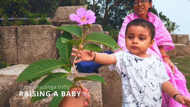 Raising a Baby