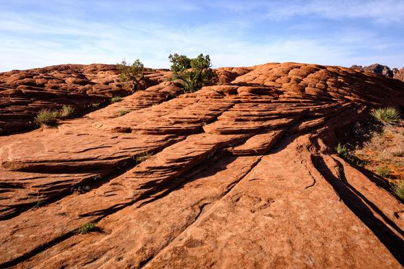 A landscape featuring layered red sandstone formations with some sparse green vegetation and small trees, under a blue sky with light clouds.