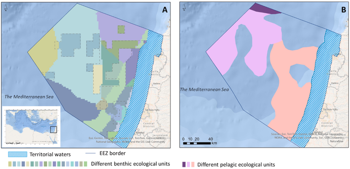 A) Benthic ecological units characterized using a hierarchical classification system and General Dissimilarity modeling (dashed grey line mark areas that were characterized using all classification levels). B) Pelagic ecological units were characterized by abiotic parameter anomalies: warm region (pink), cold region (dark purple), and high dissolved oxygen (light purple). Territorial waters are marked by blue hatched lines.