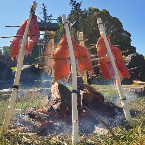Wide shot, natural light. Three A-frame wooden racks constructed from light-colored tree limbs stand over a fire of charred logs. Salmon fillets hang from the racks, secured by small wooden sticks. Soft focus on the background showing green trees and part of a play structure under a bright sky. Smoke rises from the fire, diffusing light, with clear blue sky in upper left corner, providing good contrast.