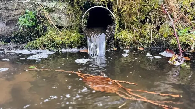 River pollution