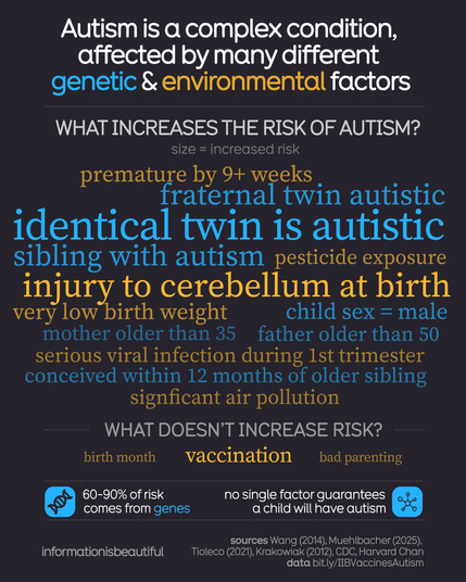 Word cloud on autism risk factors. Header states autism is influenced by genetic and environmental factors. Larger text indicates higher risk factors: having an identical twin with autism, injury to the cerebellum at birth, and siblings with autism. Other risks: premature birth, very low birth weight, older parental age, serious viral infections during the first trimester, closely spaced siblings, male sex, pesticide exposure, and air pollution. Vaccinations, birth month, and parenting do not increase risk. Notes that 60-90% of risk comes from genes, but no single factor guarantees autism. Sources listed at the bottom.