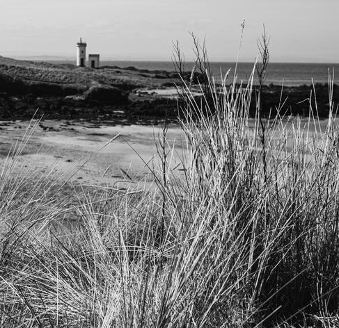 A black and white photograph of marram grass with a lighthouse and coast in the background.