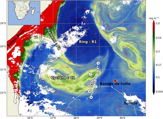 Illustration of flows in the Mozambique Channel. The anticyclonic ring in dark blue rotates counterclockwise and consists of largely uniform water (labeled Ring R1). To the south, in green, a cyclonic eddy rotates in a clockwise sense (labeled Cyclone C1). This area is chlorophyll-rich and has varying salinity levels. Between the two is a filament of chlorophyll-rich water being drawn from the near-shore region (labeled Filament F1).
