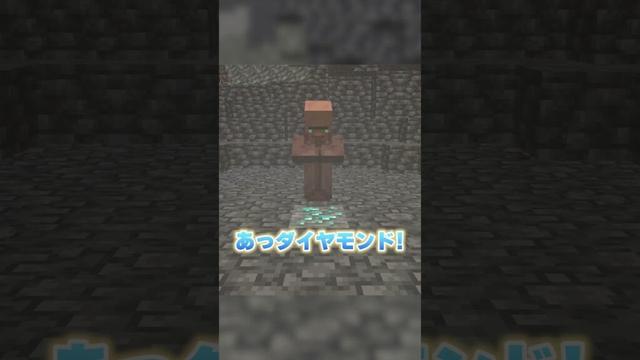 村人を助けた結果... #マインクラフト #マイクラ #けなたろう