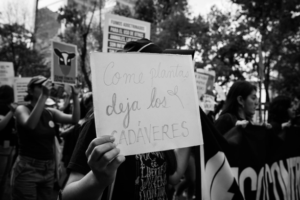 Fotografía en blanco y negro en una protesta contra el especismo en Ciudad de México, una compi a quien no se le ve el rostro porque está tapado con un cartel que a la letra dice: come plantas deja los CADAVÉRES. A su alrededor hay otres compis que levantan carteles y al fondo se observan las copas de unos árboles. © Sofía Dumat|CLAMOR DE LIBERTAD