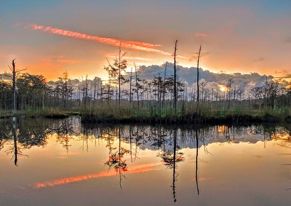 Exploring some of the less accessible areas of Goodby's Creek, a hidden gem of Jacksonville. So many moods presented by this wetland landscape. Early morning hours on colder days bring fog, darkness, and a haunted vibe. Warm humid days bring the lush, tropical vibe to life, while maintaining the mystery and danger that may remain hidden among the reeds. Sunrise always brings an array of colors, here interacting with fast moving blue cloud formations, resembling a mountain range, across the horizon to disperse lighter, pastel versions of the typical orange, yellow,  and pink shades, while still casting impressive reflections upon the calm, glass like water's surface below. Fading jet contrails in the sky absorb much of the pink shades as they streak across the sky.