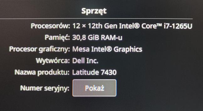 ekran z parametrami laptopa: 
12x12th Gen Intel Core i7-1265U
30,8 GiB Ram