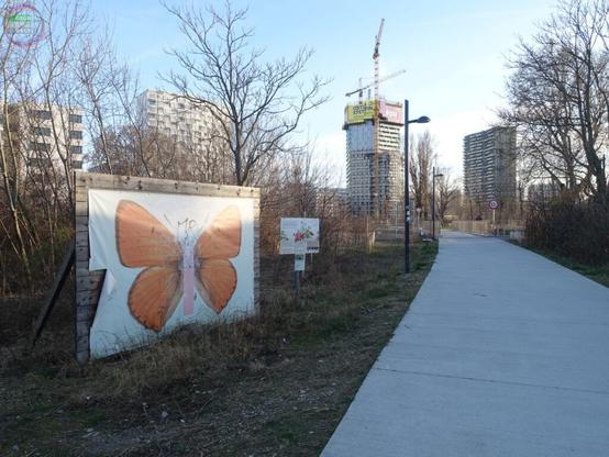 Fußweg durch Gstettn nahe Neubauviertel, großes Schmetterlingsplakat auf Holzwand