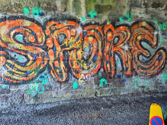Graffiti that says SPORE with psychadelic orange and black coloring. Around it are green splotches