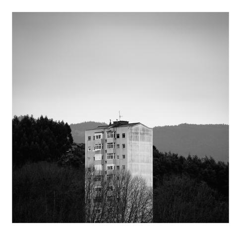 A tall, rectangular apartment building in black and white stands among leafless trees in the foreground. In the background, forest-covered hills fade into the distance beneath a gray sky. The building’s worn facade contrasts with the natural surroundings.