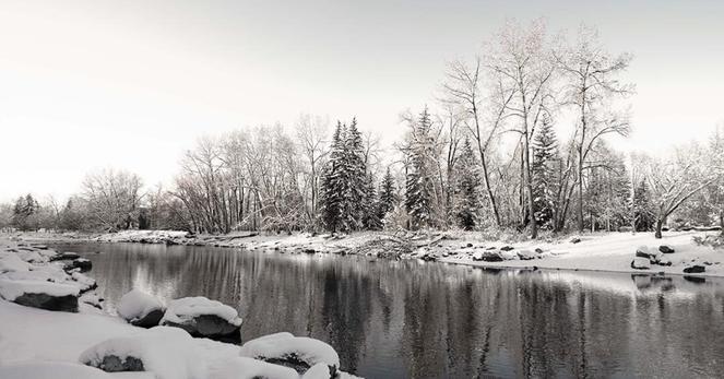 A black and white photograph showing a tranquil river meandering through a snowy landscape, surrounded by trees and scattered rocks.