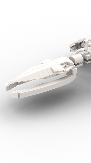 The skull of a large marine mammal, elongated and thin.