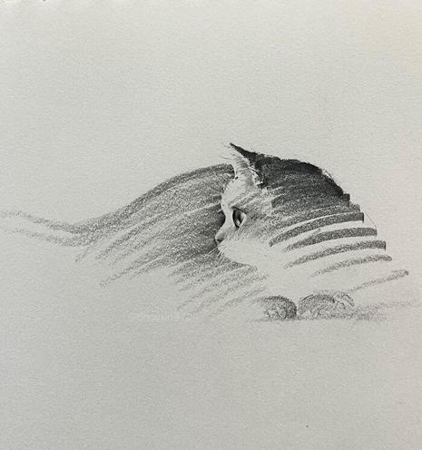 The image is a pencil sketch of a cat, rendered in grayscale. The cat is depicted in profile, facing to the right, with its head and part of its body visible. The cat's fur is represented by a series of horizontal lines, creating a sense of texture and depth. The lines vary in density and shading, with darker areas suggesting shadows and lighter areas indicating highlights. The cat's eyes are open and alert, with a focused gaze. The background is plain and unadorned, emphasizing the cat as the central subject. The overall composition is simple, with the cat occupying the right side of the frame, leaving ample negative space on the left. The drawing style is realistic, with attention to detail in the cat's features, such as the ears, eyes, and whiskers. The artist has skillfully used shading techniques to convey the cat's form and the play of light on its fur.

Provided by @altbot, generated privately and locally using Ovis2-8B