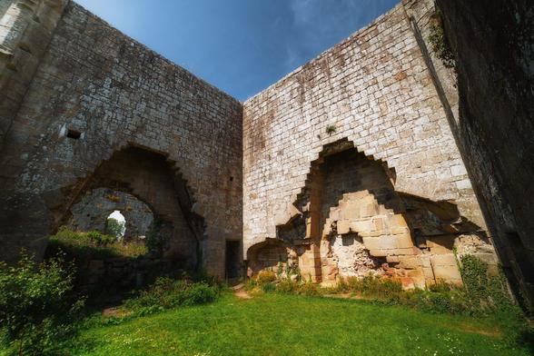 A sunlit interior corner of the ruins at Jervaulx Abbey, with towering stone walls that form a sharply angled space open to the sky above. The walls show signs of age and weathering, with textured stones covered in patches of lichen and moss. There are two large, pointed arch recesses carved into the walls, each framed with stepped, ornamental stonework. The ground is covered in bright green grass, dotted with small wildflowers and bordered by overgrown plants and ivy climbing parts of the stone. The vibrant blue sky and warm sunlight enhance the rich textures of the ancient masonry, creating a striking contrast between the solid, timeworn structure and the lively greenery within.