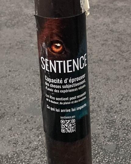 Photo de la Nuit de la Sentience 2025 (ici, on voit des stickers "sentience" dans l'espace public)