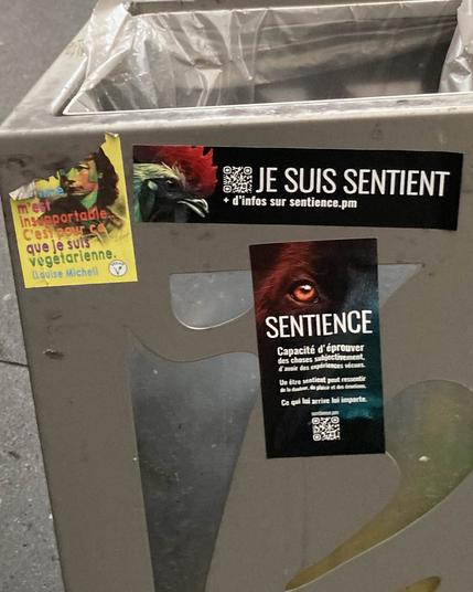 Photo de la Nuit de la Sentience 2025 (ici, on voit des stickers "sentience" dans l'espace public)