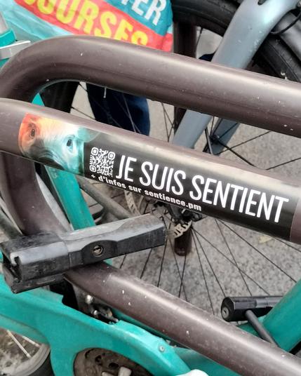 Photo de la Nuit de la Sentience 2025 (ici, on voit des stickers "sentience" dans l'espace public)