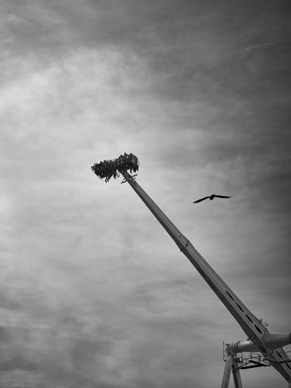 A tall amusement park ride extending into a cloudy sky, with passengers at the top and a bird flying nearby. The image is in black and white.