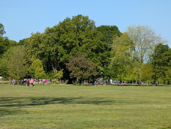 Park with large, flat grassy area in foreground, with trees in the distance.