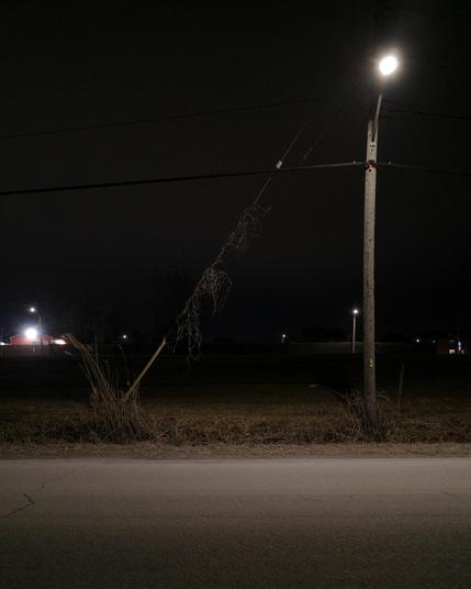Color photograph looking across an empty street at night. A light pole shines on the pavement and the thick brown grass in the ditch by the road and the ivy branches hanging from diagonal wires stretched from the top of the pole to the ground. A big dark empty field behind them, with some light poles and the top of a red garage off in the distance