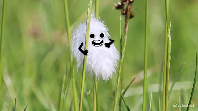 A photo of a fluffy white feather caught in the long grass of a messy lawn. I have added googly eyes, a smiling toothy mouth, and arms. One arm rests on its belly, the other holds on to a blade of grass that it is partially behind. It looks, to me, as if it's having a good old laugh about something.