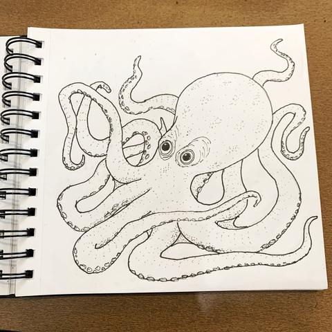 Ink line drawing of an octopus in a spiral-bound notebook.