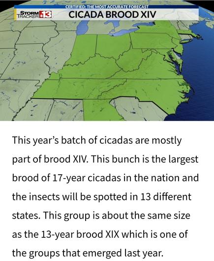 This image displays a map of the eastern United States, highlighting in bright green the areas where Brood XIV cicadas are expected to emerge in 2025. 

The highlighted region covers a significant portion of the Southeast, Mid-Atlantic, and parts of the Midwest. Specifically, the green shading extends from northeastern Georgia, covering much of Tennessee and Kentucky, up through West Virginia, parts of Virginia, North Carolina, southern Ohio, and into central Pennsylvania. There are also smaller, disjunct green areas indicating expected emergence on Long Island in New York and Cape Cod in Massachusetts. 

The rest of the United States shown on the map is in a lighter green or beige, indicating areas where this particular brood of cicadas is not expected to emerge. The title at the top reads "CERTIFIED: THE MOST ACCURATE FORECAST CICADA BROOD XIV," and there's a "StormTracker 13" logo in the upper left corner. 

Below the map is text explaining that this year's cicadas are mostly Brood XIV, the largest brood of 17-year cicadas, expected in 13 states and similar in size to the 13-year Brood XIX that emerged last year.