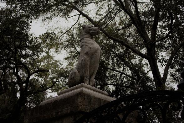 A stone statue of a seated dog on a pedestal, positioned above an ornate iron gate. The statue is framed by overhanging trees, with tangled branches and diffused light from an overcast sky in the background. The lighting is dim and shadowed, making the statue appear somber and muted.