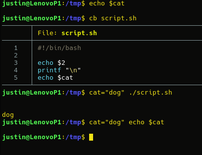 A screenshot of a terminal shows that echo $cat is an empty variable 
A script is shown that echo's the contents of $cat 
A command line is show that sets the cat variable to "dog" then calls the previous script. "dog" is printed.
A command line is shown that sets the cat variable and then echo's $cat. There is no output.
