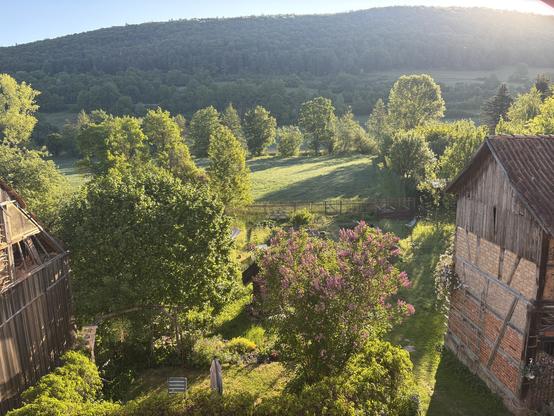 Blick auf Garten und Wald