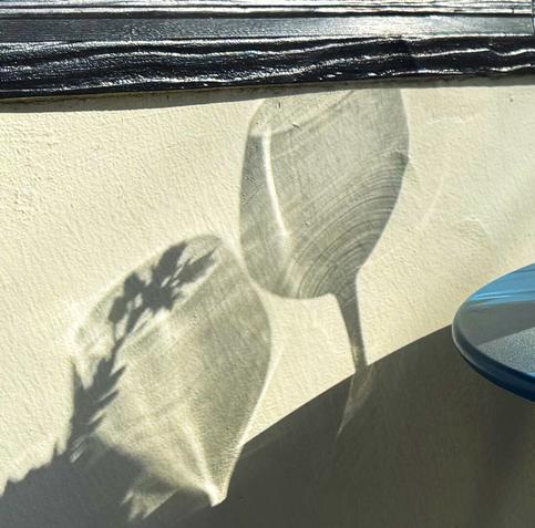 the shadows of two wine glasses on the wall
