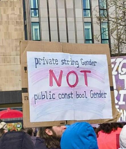 A sign, handwritten

"private string Gender

NOT

public constant bool Gender"