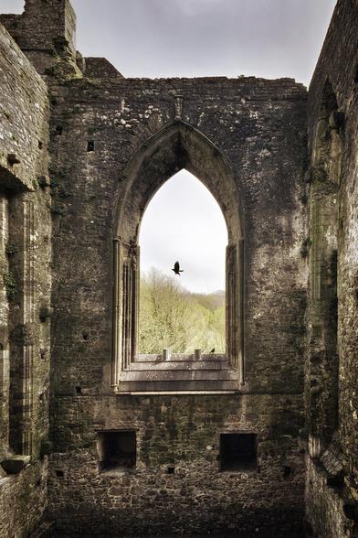 A view from inside the crumbling stone walls of Tintern Abbey, looking out through a large arched window. A bird is in flight just outside the window, against a backdrop of trees and a grey sky.
