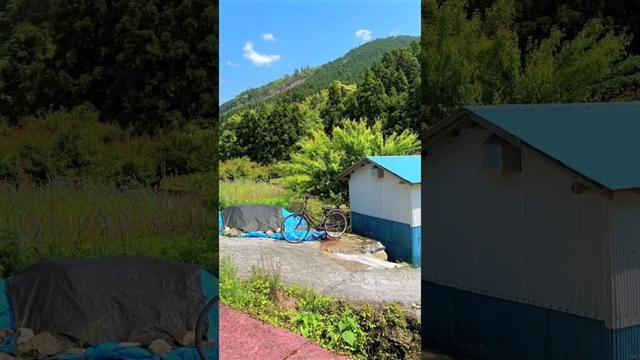 Citybike in Farm Workplace, Hasako, Ichiwatase, Minamata City, Kumamoto, Japan. #japanesecountryside