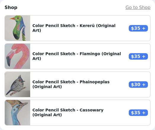 Screengrab of ko-fi store, showing 4 of my art works of different birds (Kereru, Flamingo, Phainopeplas, Cassowary) - they are all color pencil sketch and priced at 30-35 USD + delivery.