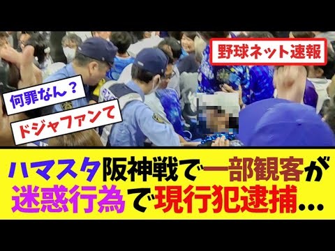 ハマスタ阪神戦で一部観客が"迷惑行為"で現行犯逮捕...【ネット反応集】