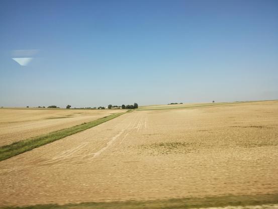 View of farmland against a blue sky as seen from a train. On the horizon, a small copse.