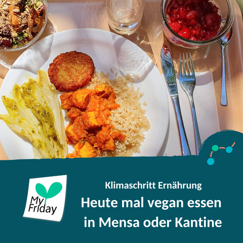 Foto: Ein leckeres Essen mit Hauptgericht, Salat und Nachtisch, neben dem Teller liegen Besteck und Serviette. Text: Klimaschritt Ernährung. Heute mal vegan essen in Mensa und Kantine. Logo: My Friday