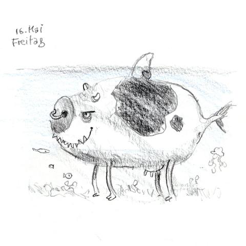 Pencil drawing of a cow shark - an animal that looks somewhat like a cow with a shark-like back fin and pointy teeth, looking a bit mischievous. The upper right corner of the drawing shows the date: „16. Mai Freitag“ (Friday, may 16)