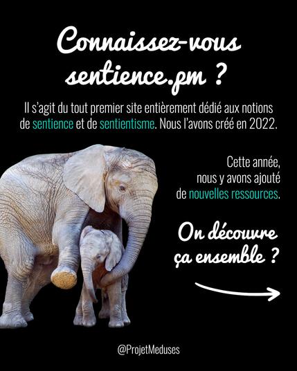 Visuel sur fond noir montrant une éléphante avec son éléphanteau et disant : « Connaissez-vous sentience.pm ? Il s’agit du tout premier site entièrement dédié aux notions de sentience et de sentientisme. Nous l’avons créé en 2022. Cette année, nous y avons ajouté de nouvelles ressources. On découvre ça ensemble ? »