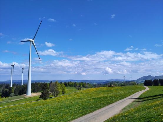 View of the Aiguilles de Baumes windmills, with yellow flowers