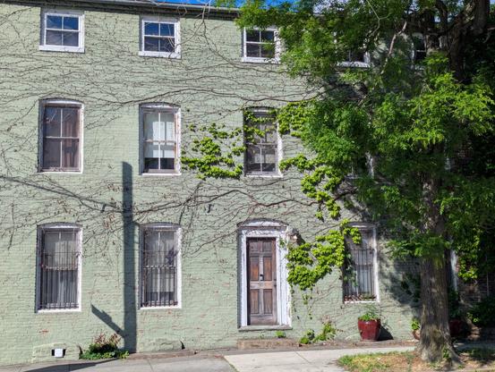 Green row home with horizontal vines going across the facade