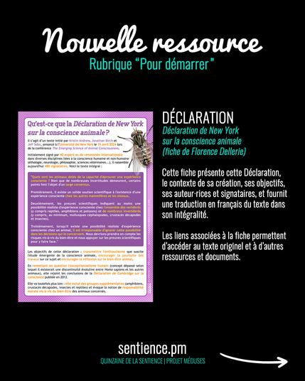 Visuel sur fond noir montrant une fiche et disant : « DÉCLARATION - Déclaration de New York sur la conscience animale (fiche de Florence Dellerie). Cette fiche présente cette Déclaration, le contexte de sa création, ses objectifs, ses auteur·rices et signataires, et fournit une traduction en français du texte dans son intégralité. Les liens associées à la fiche permettent d’accéder au texte originel et à d’autres ressources et documents. »