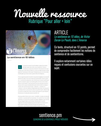 Visuel sur fond noir montrant un article illustré par une photo de poisson et disant : « ARTICLE - La sentience en 10 idées, de Victor Duran-Le Peuch, dans L’Amorce. Ce texte, structuré en 10 points, permet de comprendre facilement les notions de sentience et de sentientisme. Il explore notamment certaines idées reçues et confusions courantes sur ce sujet. »