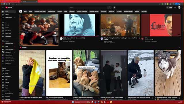 #DontForget... #KittensAreStoopid...