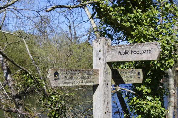 A square wooden post has three wooden pointers. They all have letters embedded in black. Two point along the Thames Path, and a third, perpendicular one, towards a Public Footpath.